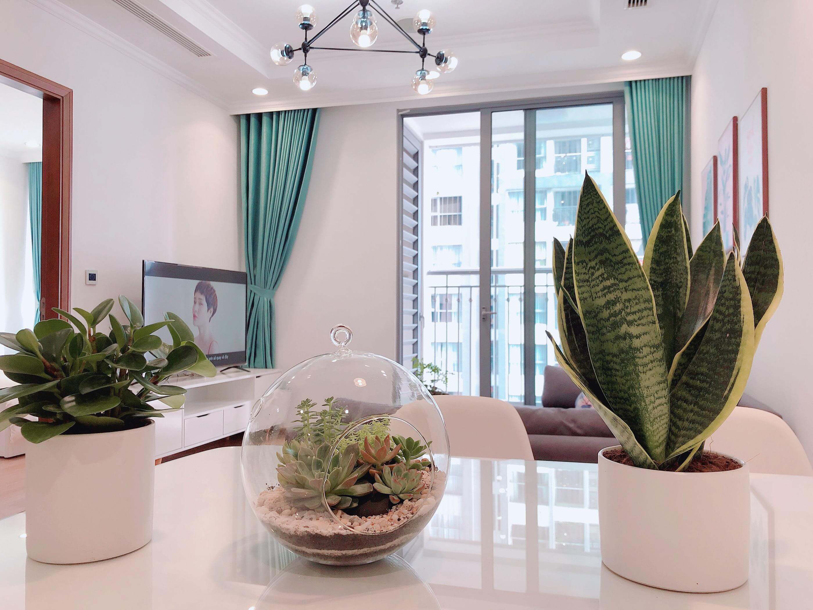 Thue-2-phong-ngu-chung-cu-times-city